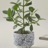 Jotex Ruukut^BELLADONNA Ruukku, ø 21,5 Cm
