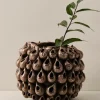 Jotex Maljakot^BLOWFISH Vaasi Korkeus 31 Cm