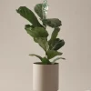 Jotex Ulkoruukut|Ruukut^DESTINY Ruukku ø 25 Cm