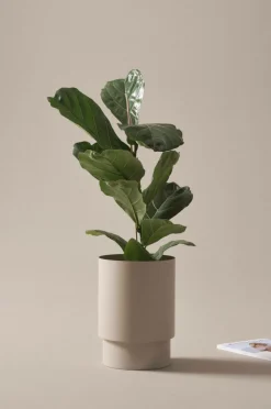 Jotex Ulkoruukut|Ruukut^DESTINY Ruukku ø 25 Cm