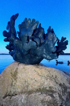 Jotex Koriste-Esineet^FITZROY Koriste