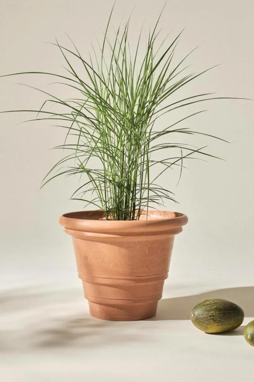 Jotex Ulkoruukut|Ruukut^HOLLY Ulkoruukku, Halkaisija 56 Cm