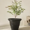 Jotex Ulkoruukut|Ruukut^HOLLY Ulkoruukku, Halkaisija 56 Cm