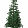 Jotex Ulkovalaisimet|Ulkovalaisimet^Joulukuusi Edane 210 Cm