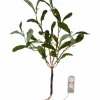 Jotex Jouluvalot^Koristeoksa Misteli 35 Cm