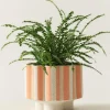Jotex Ruukut^SIGFRID STRIPE Ruukku