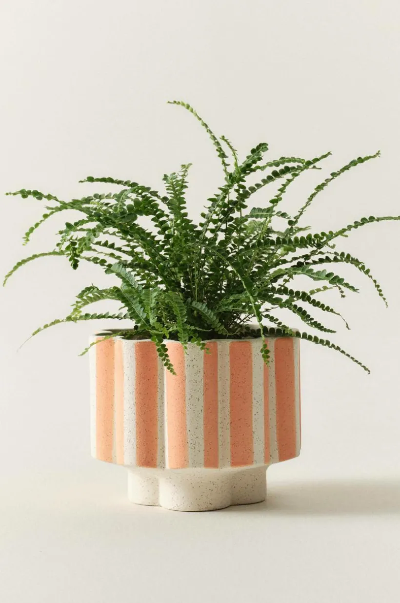 Jotex Ruukut^SIGFRID STRIPE Ruukku